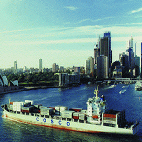 佛山到福建陶瓷海运，佛山到福建木材水运，佛山到福建地板海运